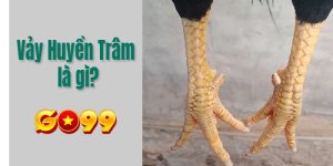 Go99 giải nghĩa Vảy Huyền Trâm của gà đá